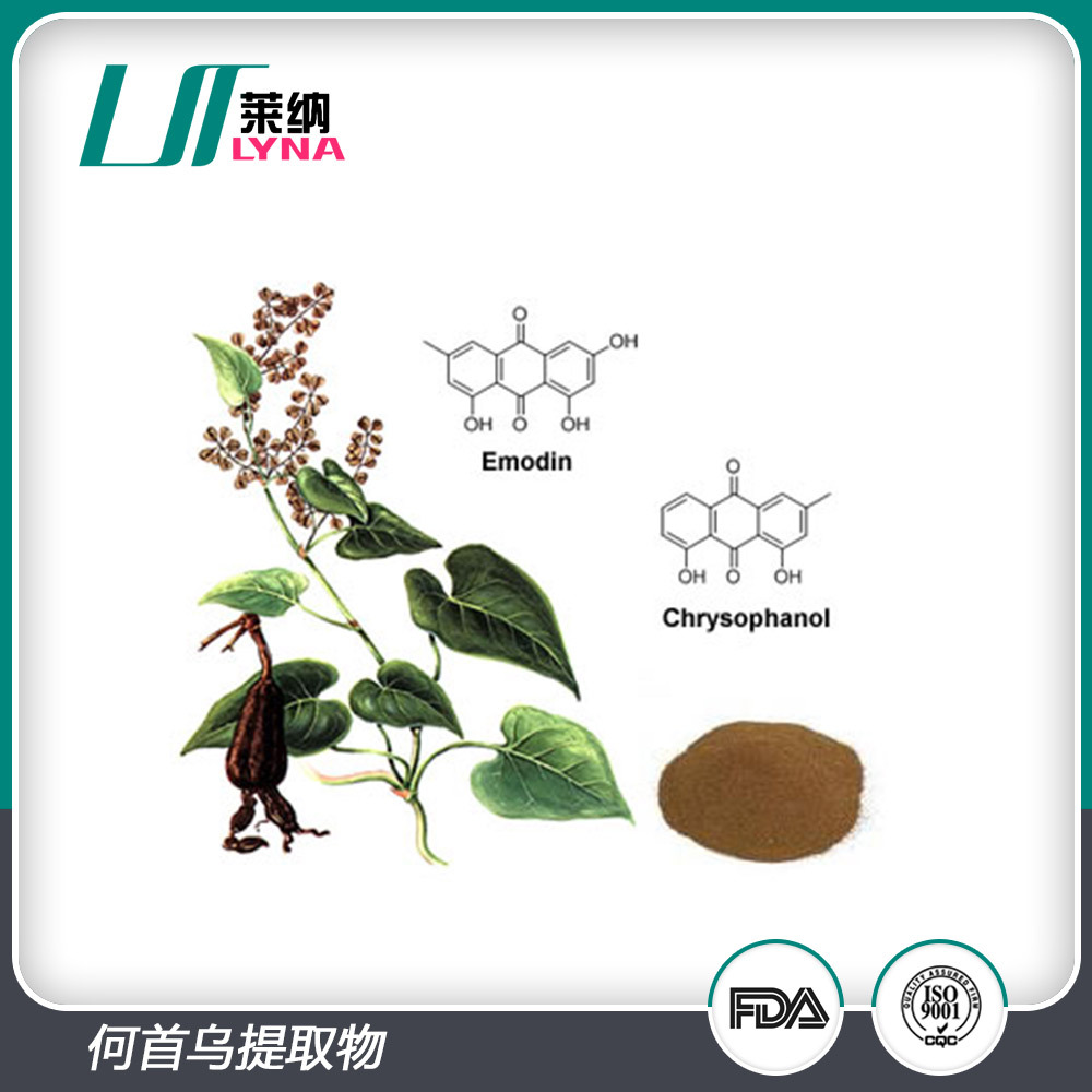 植物提取物-何首烏提取物 30:1 制何首烏提取 何首烏.