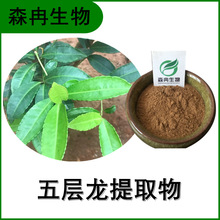 五層龍?zhí)崛∥? class=