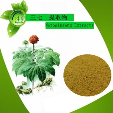 三七提取物、提取物、植物提取物