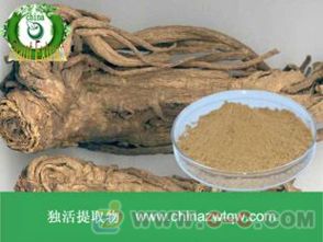 南箭牌植物提取物 獨(dú)活提取物遠(yuǎn)成銷售