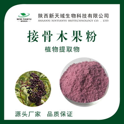 接骨木提取物