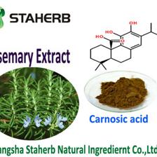 迷迭香提取物--鼠尾草酸5-90%