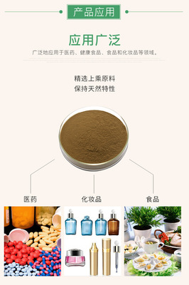 羅望子提取物10:1 昊辰工廠直供植物提取物 羅望子粉 角酸提取物