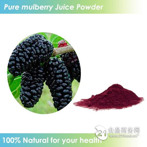 天然速溶飲料桑葚粉批發(fā)價(jià)格 西安 旭煌生物 植物提取物