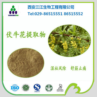植物提取物-伏?；ㄌ崛∥?4:1 天然提取 廠家直銷 開票包郵 低價銷售-植物提.