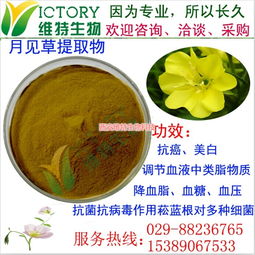 月見草提取物限時(shí)促銷，西安維特生物科技為您帶來(lái)純正植物精華